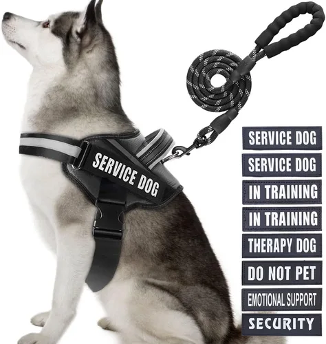 Miniatura 29 de Juego de arnés y correa para perro de servicio, arnés de entrenamiento para perro Animire con 10 parches para perros, correa reflectante para perro