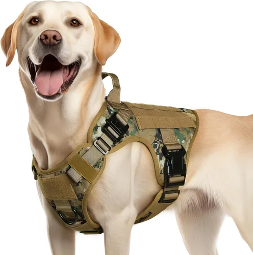 Miniatura 18 de rabbitgoo - Arnés táctico para perros pequeños, arnés resistente para mascotas con asa, chaleco de servicio sin tirones para razas pequeñas, chaleco