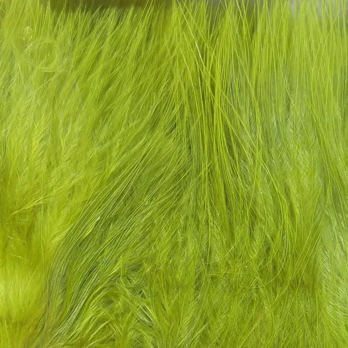 Miniatura 18 de Hareline Marabou Strung Blood Quills 1 OZ Paquete