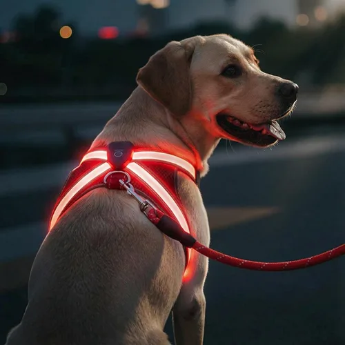 Arnés reflectante con correa para perro con iluminación LED, chaleco de seguridad iluminado para perro (cuerpo completo, ligero, resistente a la