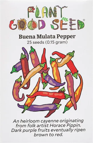Miniatura 6 de Plant Good Seed Semillas de pimienta Aji Amarillo orgánicas para plantar: chile tradicional peruano, frutos amarillos anaranjados - Paquete de 30