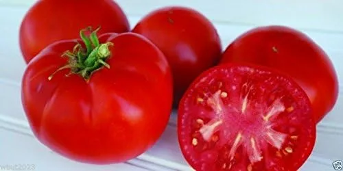 Miniatura 2 de Tomate tradicional "Super Sioux" (50 semillas) ideal para sándwiches, ensaladas, rebanadas