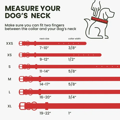 Miniatura 2 de Collar de cuero enrollado para perro, diseño redondo suave que evita enredos y enmarañe con etiqueta de identificación para perros pequeños, Hebilla