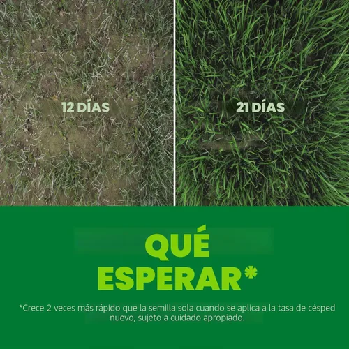 Miniatura 4 de Mezcla de semillas de césped Scotts Turf Builder Rapid Grass Sun & Shade Mix de doble crecimiento rápido para sombra y sol; combinación de semillas