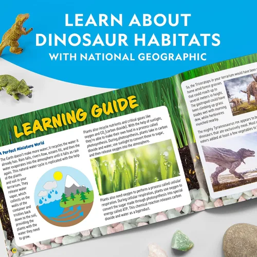 Miniatura 7 de National Geographic - Kit de terrario iluminado para niños, construye un hábitat de dinosaurios con plantas reales y piedras preciosas, kit