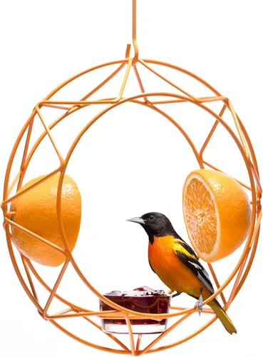 MEKKAPRO Sun Baltimore - Comedero para oropéndolas para exteriores, comedero de metal para gelatina y naranja, diseño único de sol y comedero para