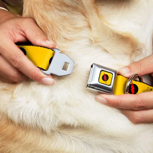 Miniatura 8 de Buckle-Down Collar de perro con hebilla de cinturón de seguridad, logotipo de flash reverso, amarillo dorado, negro/rojo, 1 pulgada de ancho, se