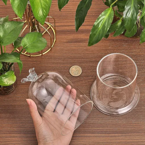 Miniatura 3 de CHGCRAFT Cubierta de cúpula de cristal con diseño de pájaro en forma de arco con base de vidrio, vitrina decorativa para portavelas, plantas
