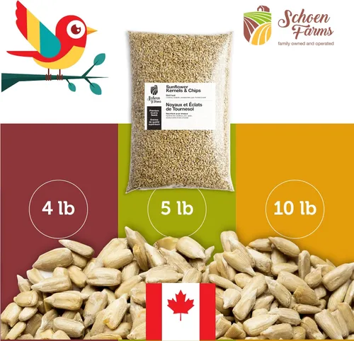 Miniatura 6 de Schoen Farms Granos y patatas fritas de girasol – Bolsa de 10.0 lbs – Semillas de pájaro de corazones de girasol con cáscara – Alimento sin desorden