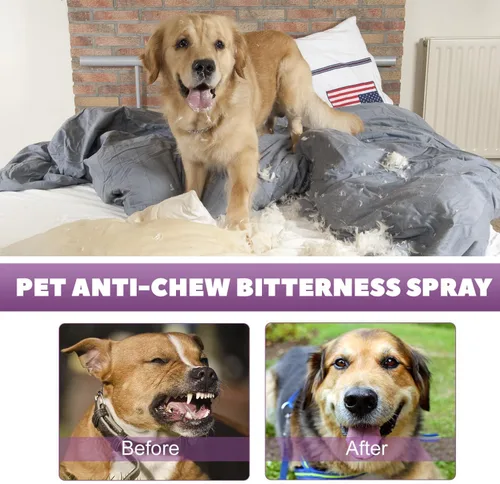 Miniatura 5 de JoanofArc Spray calmante de feromonas para gatos y perros, 1.7 fl oz con kit difusor, ayuda a la calma, reducción del estrés, detiene arañazos