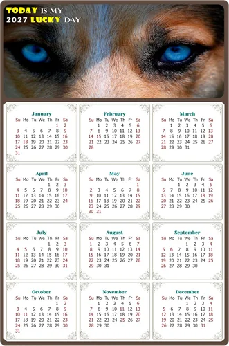 Calendario magnético 2024 – Imanes del calendario – Today is my Lucky Day – Resistente a la decoloración, desgarros y agua – Temático de perros 03