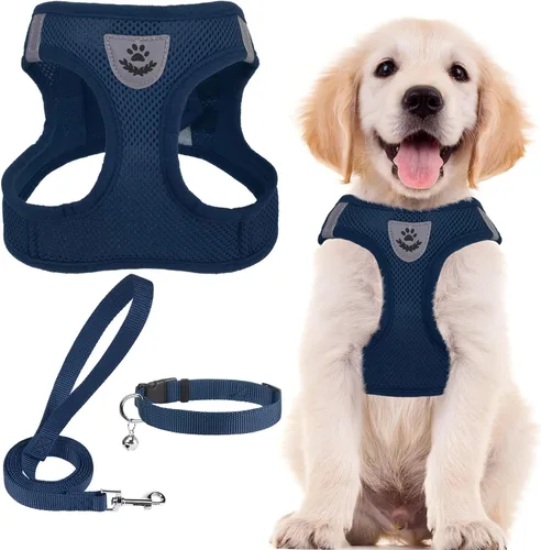 Miniatura 17 de PUPTECK - Arnés, collar y correa ajustables, sin tirones, para perros pequeños y medianos, cachorros y gatos, pechera reflectante acolchada de malla
