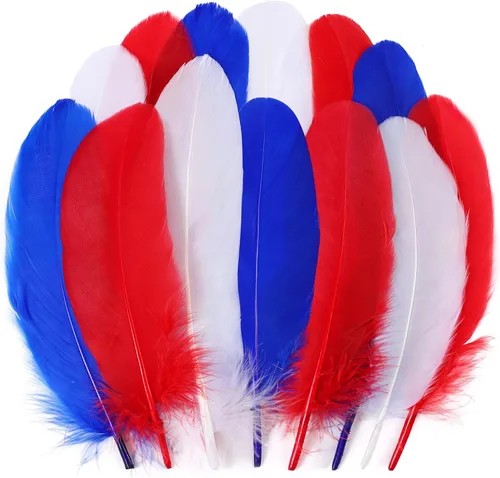 Miniatura 10 de Holmgren Plumas de Artesanía de Mardi Gras a Granel – 200 piezas Plumas de Ganso Grandes de 5-6 pulgadas para Decoración de Mardi Gras Carnaval