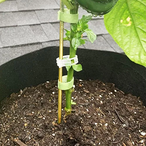 Miniatura 6 de Yowlieu 20 estacas de bambú natural + 1 rollo de lazos de jardín, palos de bambú de 18 pulgadas, estacas de apoyo para plantas de interior, tomate