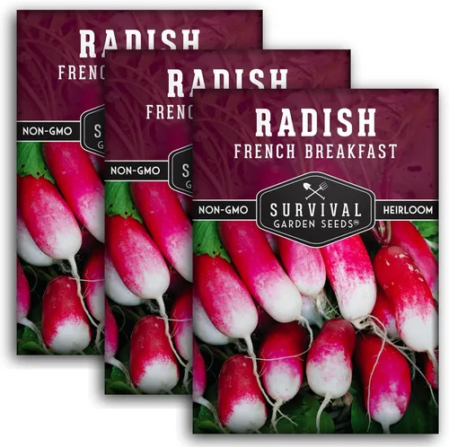 Paquete de 3 semillas de rábano francés para el desayuno para plantar, paquete con instrucciones para cultivar rábanos largos para comer en tu