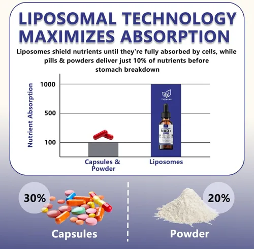 Miniatura 5 de Suplemento liposomal NAD para mujeres, suplemento líquido NAD con resveratrol, antioxidante natural, apoyo al metabolismo energético y salud