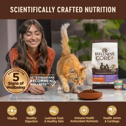 Miniatura 4 de Wellness CORE+ - Alimento seco para gatos adultos para interiores y exteriores, granos integrales, natural, salud digestiva con pollo y arroz