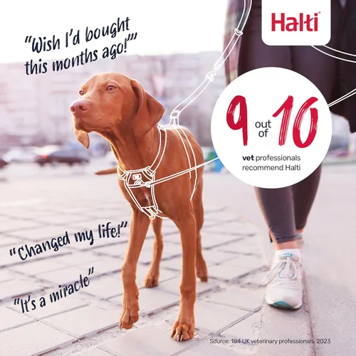 Miniatura 6 de Halti Arnés sin tirones: evita que tu perro tire de la correa. Ajustable, ligero y fácil de usar. Arnés reflectante de entrenamiento para perros