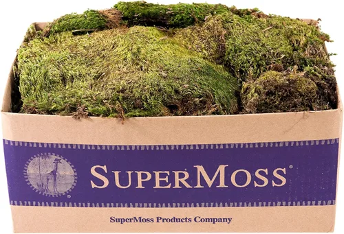 Miniatura 9 de SuperMoss (21539) Mood Moss preservado, bolsa de 200 pulgadas cúbicas (aprox. 8 onzas), verde fresco