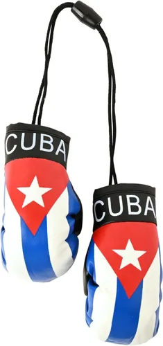 Miniatura 6 de SandT Collection Guantes de boxeo pequeños con bandera del país - Guantes de boxeo para colgar
