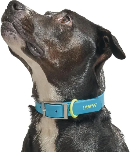 Wild One, Edición limitada, colección Designer, collar azul para perro, fácil de limpiar, correa de poliéster flexible para todo tipo de clima con