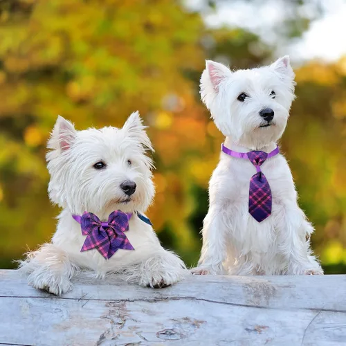 Miniatura 7 de Reginary, Juego de 100 Piezas de Collar de Corbatín para Perro Incluye 40 Corbatas para Perros y 30 Corbatines para Cachorros, 30 Flores de Collar