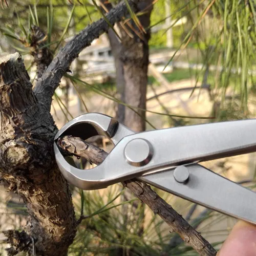Miniatura 5 de Cortador de perilla, 7.087 in de acero inoxidable Perilla Cortador de Bola Tijeras de Paisaje Modelado Jardín Bonsai Herramientas
