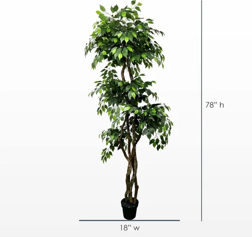 Miniatura 4 de Cypress & Alabaster Árbol artificial de ficus de 3 niveles hecho a mano de 6.5 pies con troncos de madera real de origen ético, hipoalergénico, 6.5