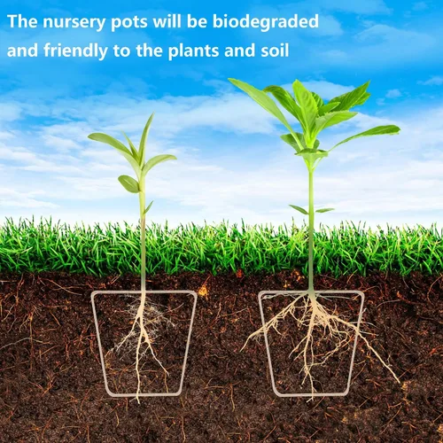 Miniatura 5 de PURPLE STAR 1N 20 macetas biodegradables para vivero con cúpula de humedad, maceta cuadrada de 2.3 pulgadas para plantar, macetas de turba