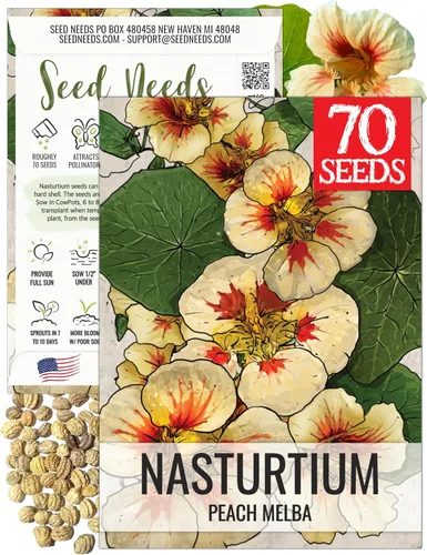 Miniatura 13 de Seed Needs Semillas de Nasturtium de Terciopelo Negro para Plantar - Semillas Herederas No Tratadas y de Polinización Abierta - Flores Comestibles