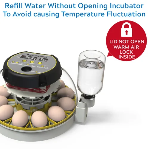 Miniatura 4 de KEBONNIXS Incubadora de 12 huevos con pantalla de humedad, velador de huevos, girador automático de huevos, para incubar pollos