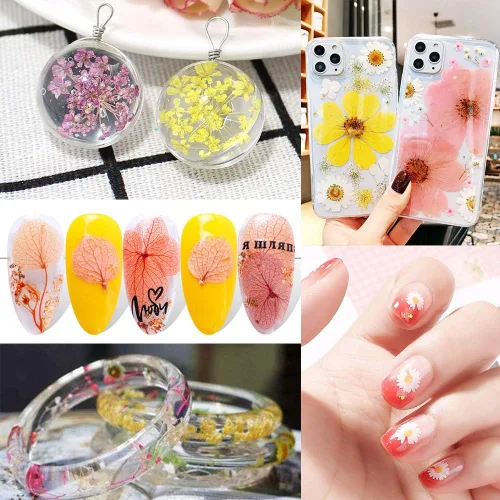 Miniatura 4 de Más de 170 pétalos de hojas de flores secas prensadas para manualidades, hermosas flores prensadas margaritas para joyas de resina, flores Color-a
