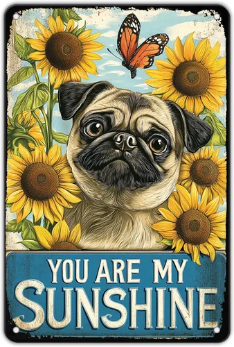 Póster de metal retro con texto en inglés «You Are My Sunshine» de metal con texto en inglés «You Are My Sunshine» («You Are My Sunshine»)