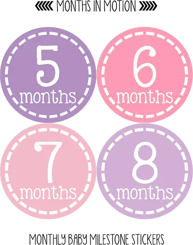 Miniatura 3 de Calcomanías mensuales para bebé, calcomanías de hitos para bebé, calcomanías de niña recién nacida, calcomanías de mes para niña, calcomanías