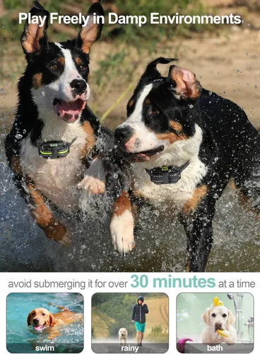 Miniatura 6 de Collar de choque para perro, paquete de 3 – Collar de entrenamiento para perros con control remoto IP65 impermeable E Collar para perros con modos