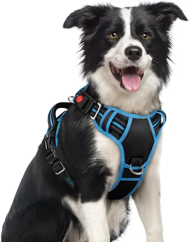Miniatura 18 de rabbitgoo Arnés para perro de tamaño pequeño, chaleco para perro sin tirones con 3 hebillas, arnés ajustable y acolchado suave para mascotas con asa