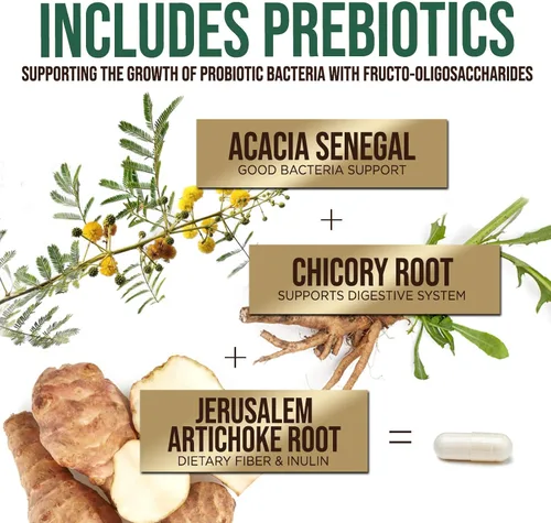 Miniatura 5 de Probióticos 50 mil millones de UFC por porción – 10 cepas + prebióticos – Salud digestiva, intestinal e inmunitario – Apoyo ocasional