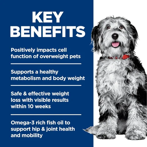 Miniatura 5 de Hill's Science Diet Peso perfecto y apoyo articular, para perros adultos de 1 a 6 años, manejo del peso y apoyo articular, alimento seco