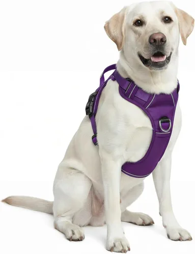 Miniatura 13 de Arnés sin tirones para perro, con 2 clips para correa, chaleco Oxford reflectante ajustable para mascotas con asa de fácil control para perros Negro