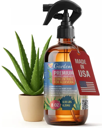 Miniatura 40 de GARDENERA Spray orgánico profesional de algas marinas para plantas AGLAONEMA – 8 oz – Rocío fertilizante de algas marinas y algas marinas totalmente