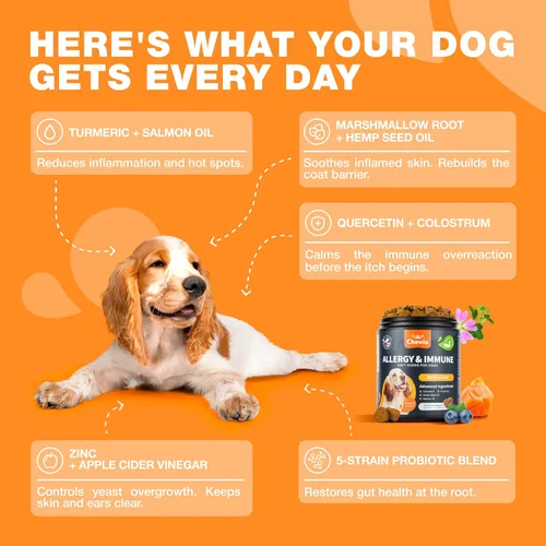 Miniatura 4 de Masticables para aliviar la alergia para perros, alivio de la picazón para perros, 180 masticables para alergias para picazón en la piel