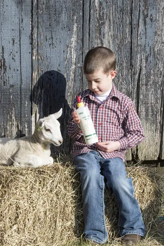 Miniatura 3 de Neogen Ideal 7004 Lamb & Kid Bottle 16oz w/Red Screw-On Teat