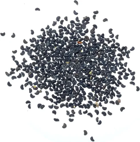 Miniatura 6 de Seed Needs Semillas de Rúe para Plantar Hierbas Medicinales - Semillas Perennes Autóctonas No Transgénicas y Sin Tratar para Cultivar un Jardín