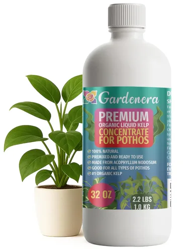 Miniatura 24 de GARDENERA Superalimento orgánico prémium de algas marinas y algas marinas para plantas AGLAONEMA, 8 onzas, concentrado de fertilizante líquido