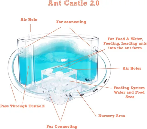 Miniatura 8 de NAVADEAL Ant Farm Castle 2.0 con tubo de conexión, kit de aprendizaje científico de hábitat de hormigas, el mejor juguete educativo STEM 2021