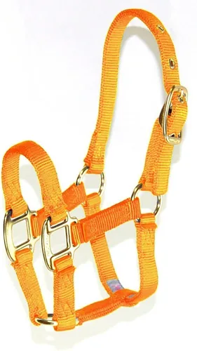 Miniatura 12 de Hamilton Caballo de lujo Halter, nailon de triple capa de 3/4 pulgadas con correa ajustable para la barbilla, potro o mini caballo, 100-200 libras