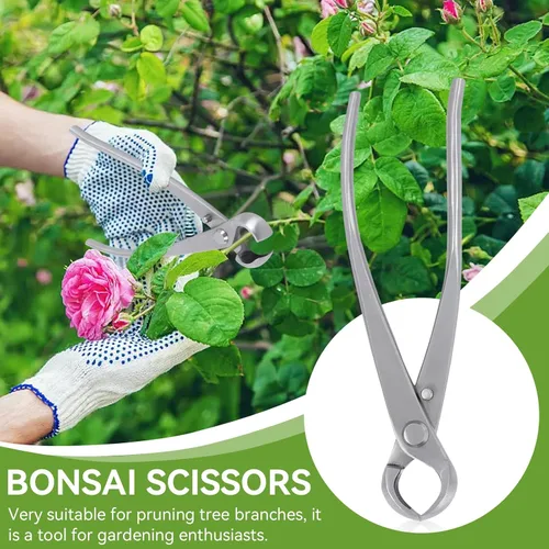 Miniatura 6 de Bonsái Tools - Cortador cóncavo de 7.087 in BonsaiCutters Cortador de ramas Bonsái Tijera de árbol podadora BonsaiTrimmer Herramientas de jardinería