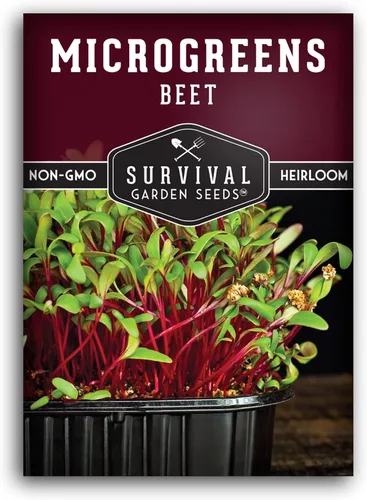 1 paquete de semillas de microgreens de remolacha para plantar y cultivar – Planta microvegetales de hoja verde en interiores – Cultiva tu propio