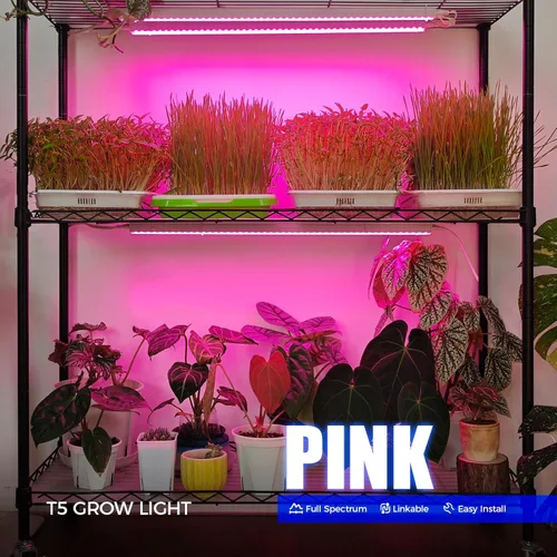 Barrina Luces de crecimiento T5, espectro completo, 2 pies 80 W (8 x 10 W, equivalente a 500 W), bombillas LED T5 para cultivo, luces de plantas Rosa