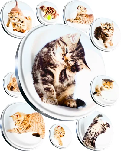 Miniatura 14 de Imanes de cristal súper lindos – Juego de multipack decorativo con agarre fuerte – Ideal para nevera, taquillas, fotos y notas Lindo dinosaurio